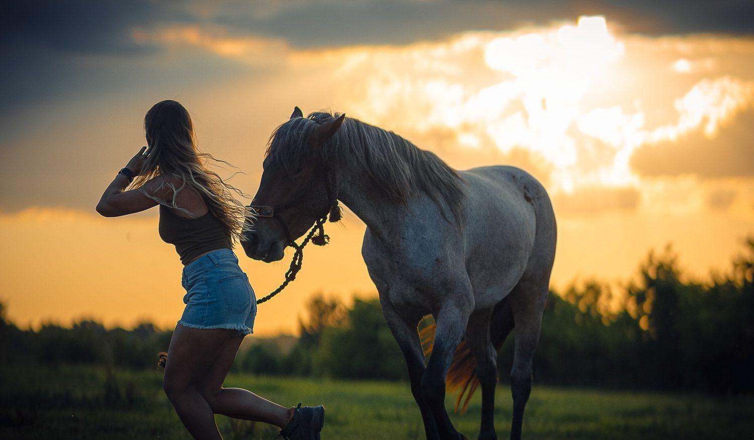 carousel-hero-element image-14