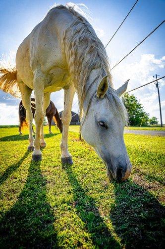 mobile - carousel-hero-element image-19