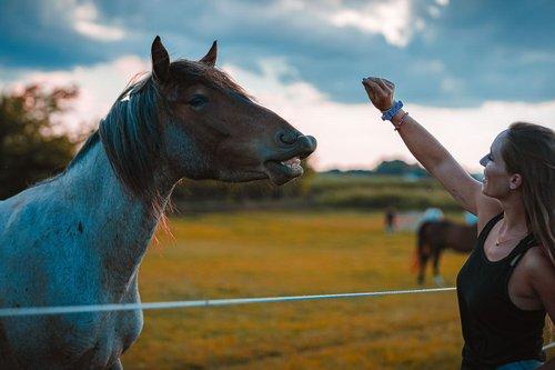 mobile - carousel-hero-element image-16